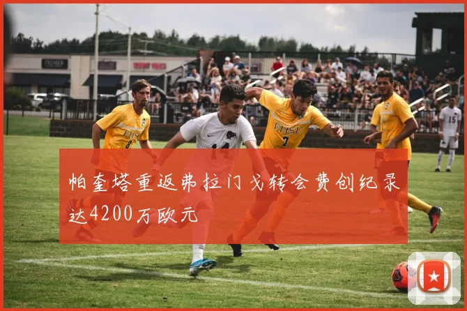 帕奎塔重返弗拉门戈转会费创纪录达4200万欧元