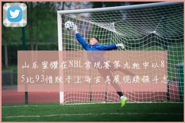 山东蜜獾在NBL常规赛第九轮中以85比93惜败于上海玄鸟展现顽强斗志