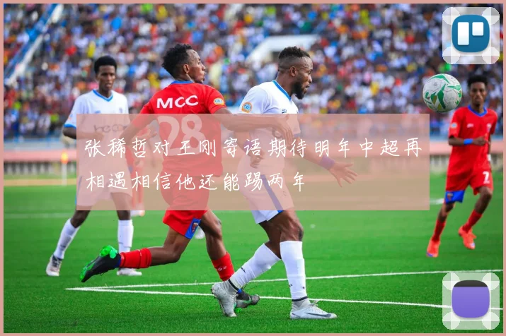 张稀哲对王刚寄语期待明年中超再相遇相信他还能踢两年