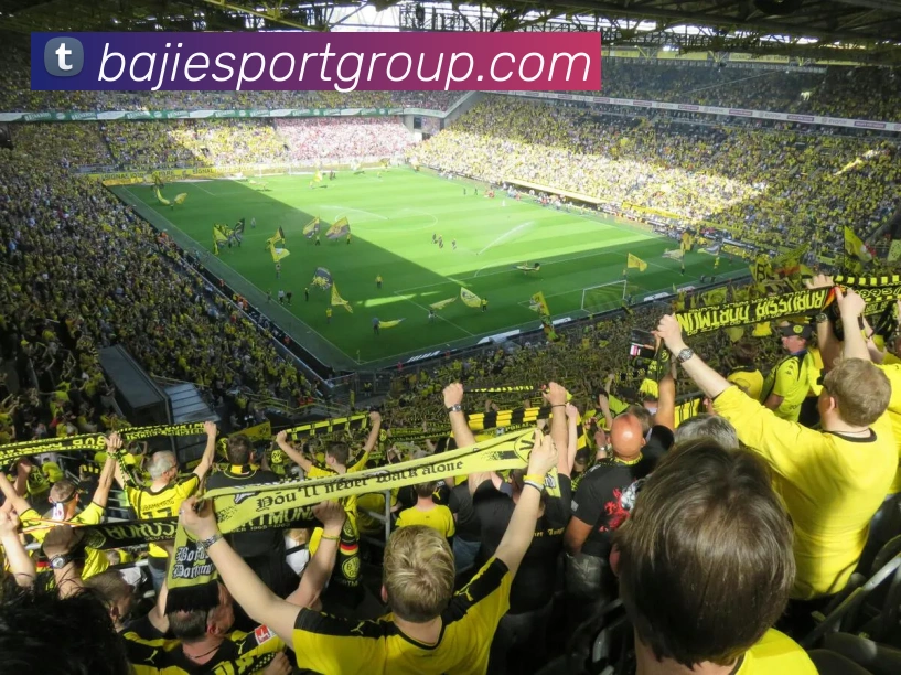 八戒足球体育发展历程